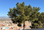 Casa de pueblo en venta en Jaén ref: TR16660 foto