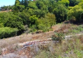 Xalet independent amb terreny en venda a Las Rosas ref.: TR187816 foto