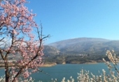 Non-developable land for sale on España, Pinos del Valle, ref: TR405467 photo