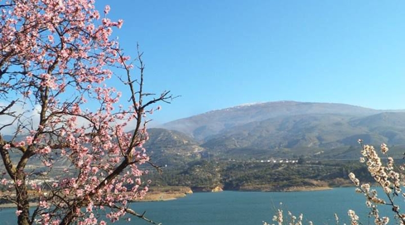 Granada - Pinos del Valle - 3130m2