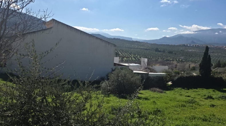 Jaén - La Guardia de Jaén - 600m2