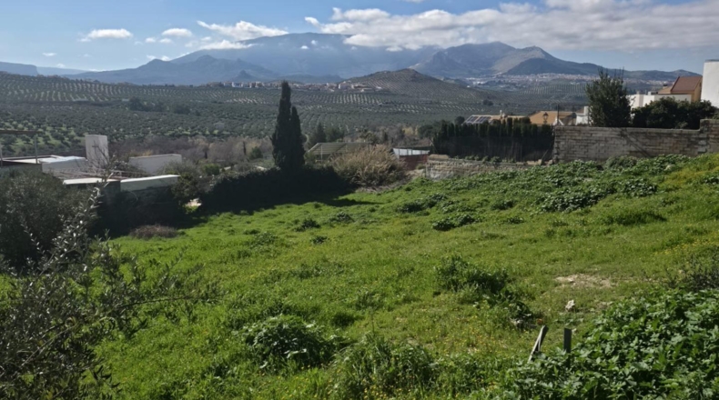 Jaén - La Guardia de Jaén - 600m2