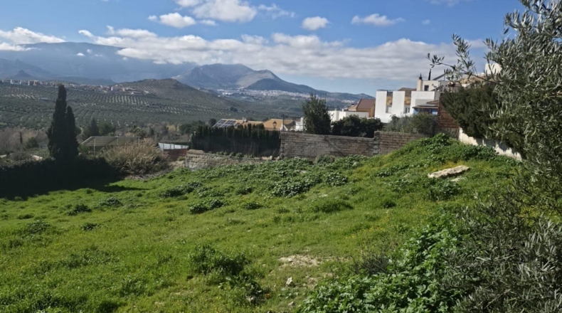 Jaén - La Guardia de Jaén - 600m2