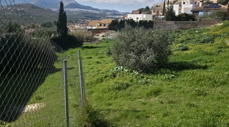 Jaén - La Guardia de Jaén - 600m2