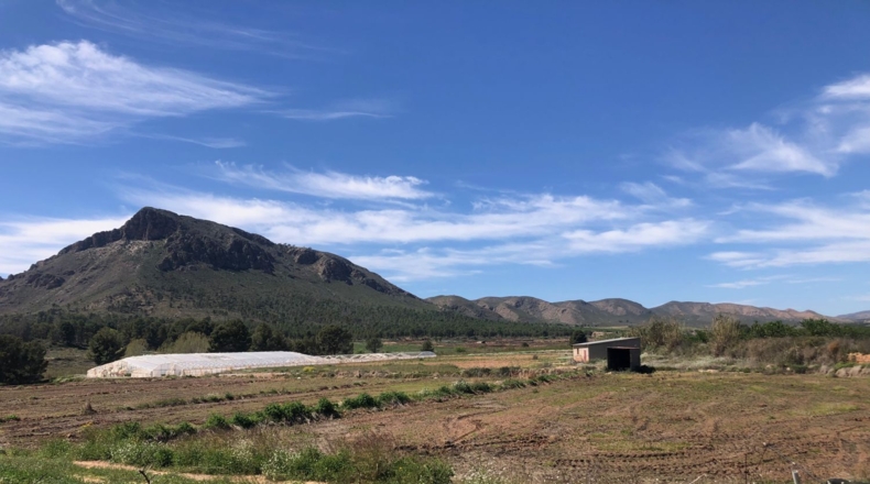 Albacete - Hellín - 28000m2