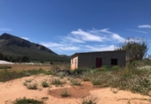 Finca rústica en venta en Hellín ref: TR405478 foto