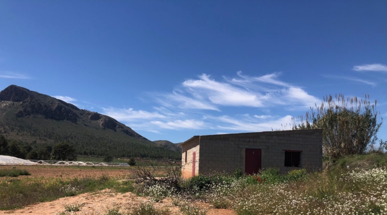 Albacete - Hellín - 28000m2