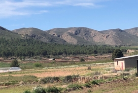 Hellín 28000&nbsp;м²