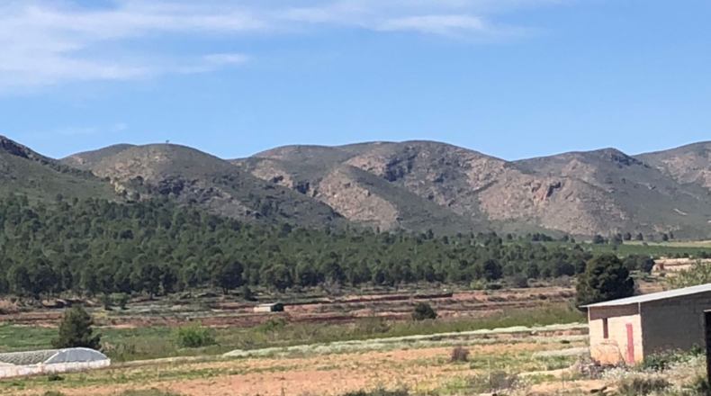 Albacete - Hellín - 28000m2