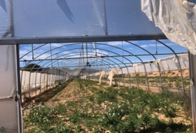Hellín 28000&nbsp;м²
