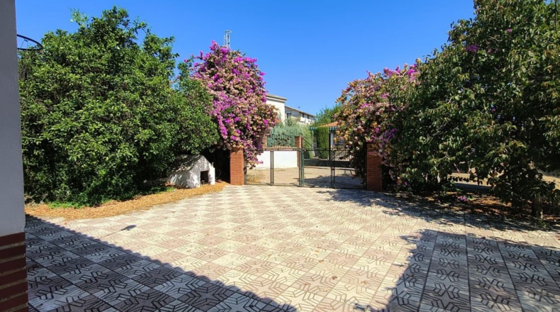Córdoba - Villanueva de Córdoba - 2000m2