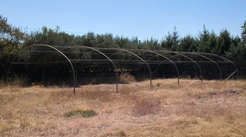 Córdoba - Villanueva de Córdoba - 2000m2