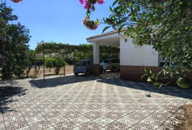 Foto 19