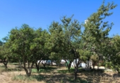 Xalet independent amb terreny en venda a Encinarejo de Córdoba ref.: TR405479 foto