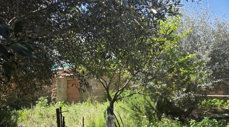 Badajoz - Granja de Torrehermosa - 263m2
