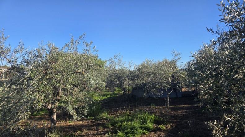 Badajoz - Valverde de Llerena - 831m2