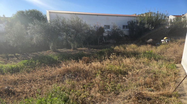 Badajoz - Valverde de Llerena - 831m2