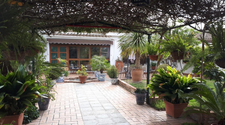 Cádiz - Chiclana de la Frontera - 800m2