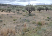 Terreno no urbanizable en venta en la España, Estivella, ref: TR405505 foto