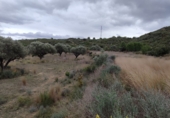 Terreno no urbanizable en venta en la España, Estivella, ref: TR405505 foto