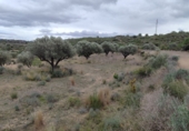 Terreno no urbanizable en venta en la España, Estivella, ref: TR405505 foto