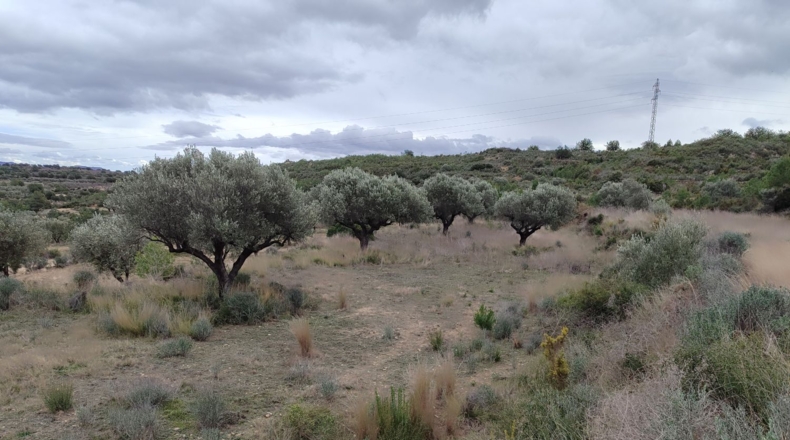 València - Estivella - 6487m2