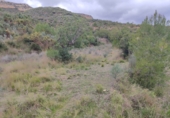Terreno no urbanizable en venta en la España, Estivella, ref: TR405505 foto