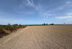 Dolores 35000&nbsp;м²