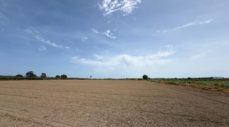 Аликанте - Dolores - 35000m2