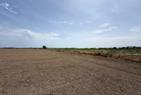 Dolores 35000&nbsp;м²