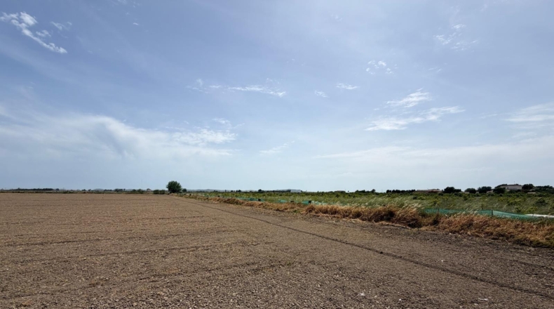Аликанте - Dolores - 35000m2