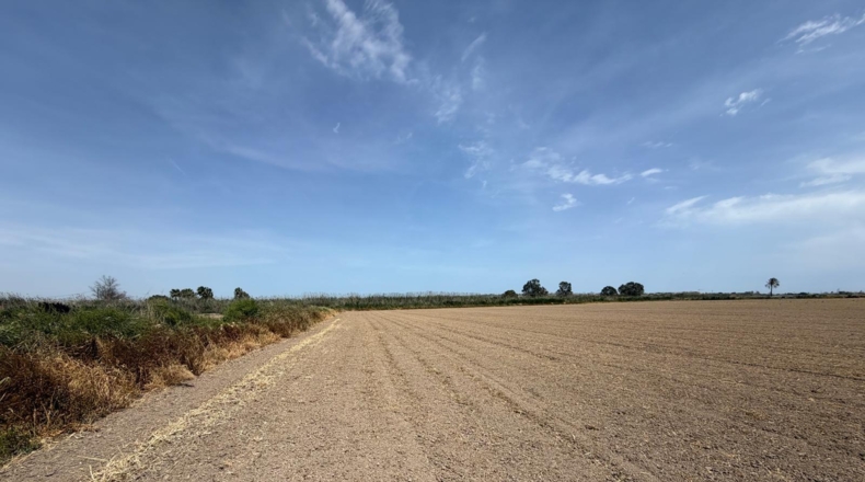 Аликанте - Dolores - 10000m2