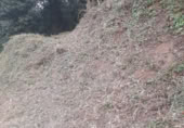 Land suitable for development for sale on Avda. del Vallés, Santa Maria de Palautordera, ref: TR405510 photo