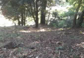 Land suitable for development for sale on Avda. del Vallés, Santa Maria de Palautordera, ref: TR405510 photo
