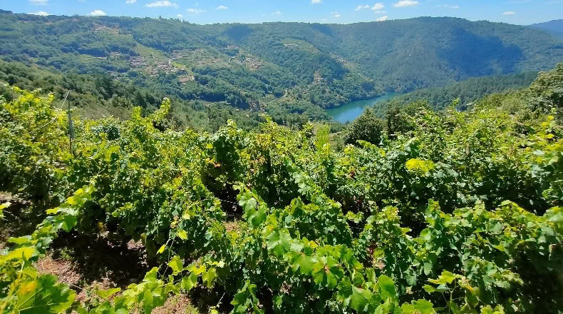 Lugo - Santa Mariña - 225m2