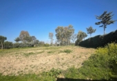 Non-developable land for rent on España, Leganés, ref: TR319373 photo