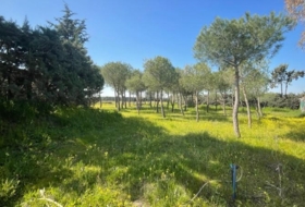 Leganés 2000&nbsp;m²