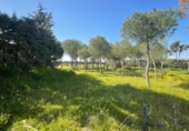 Non-developable land for rent on España, Leganés, ref: TR319373 photo