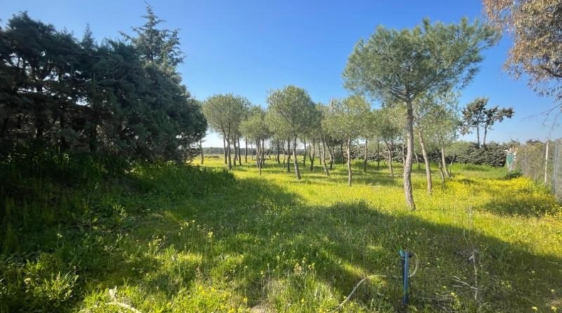 Comunidad de Madrid - Leganés - 2000m2