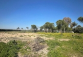 Non-developable land for rent on España, Leganés, ref: TR319373 photo