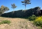 Non-developable land for rent on España, Leganés, ref: TR319373 photo