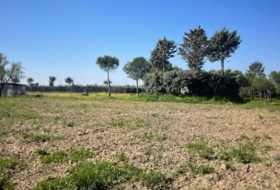 Leganés 2000&nbsp;m²