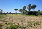 Non-developable land for rent on España, Leganés, ref: TR319373 photo
