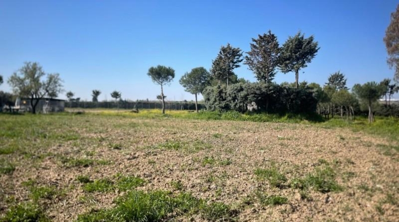 Comunidad de Madrid - Leganés - 2000m2