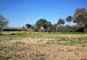 Non-developable land for rent on España, Leganés, ref: TR319373 photo