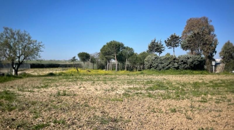 Comunidad de Madrid - Leganés - 2000m2