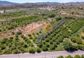 Terreny no urbanitzable en venda a la España, Arboleas, ref.: TR405538 foto