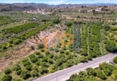 Terreny no urbanitzable en venda a la España, Arboleas, ref.: TR405538 foto