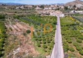 Terreny no urbanitzable en venda a la España, Arboleas, ref.: TR405538 foto
