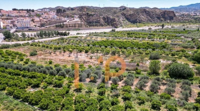 Almería - Arboleas - 2067m2